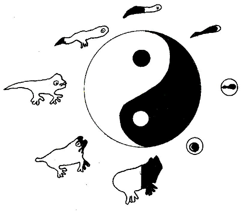 Eastern Seaboard Rectangle (东海岸长方形) Bodleian Library
